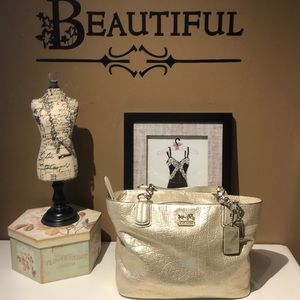 Coach Platinum Handbag